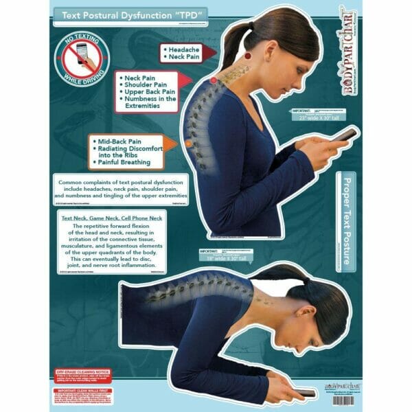 Text Posture Dysfunction - Removable Wall Graphic