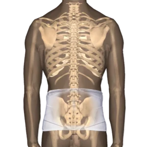 CorFit System LS Back Support