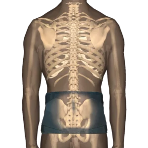 CorFit System Industrial Belt LS Back Support