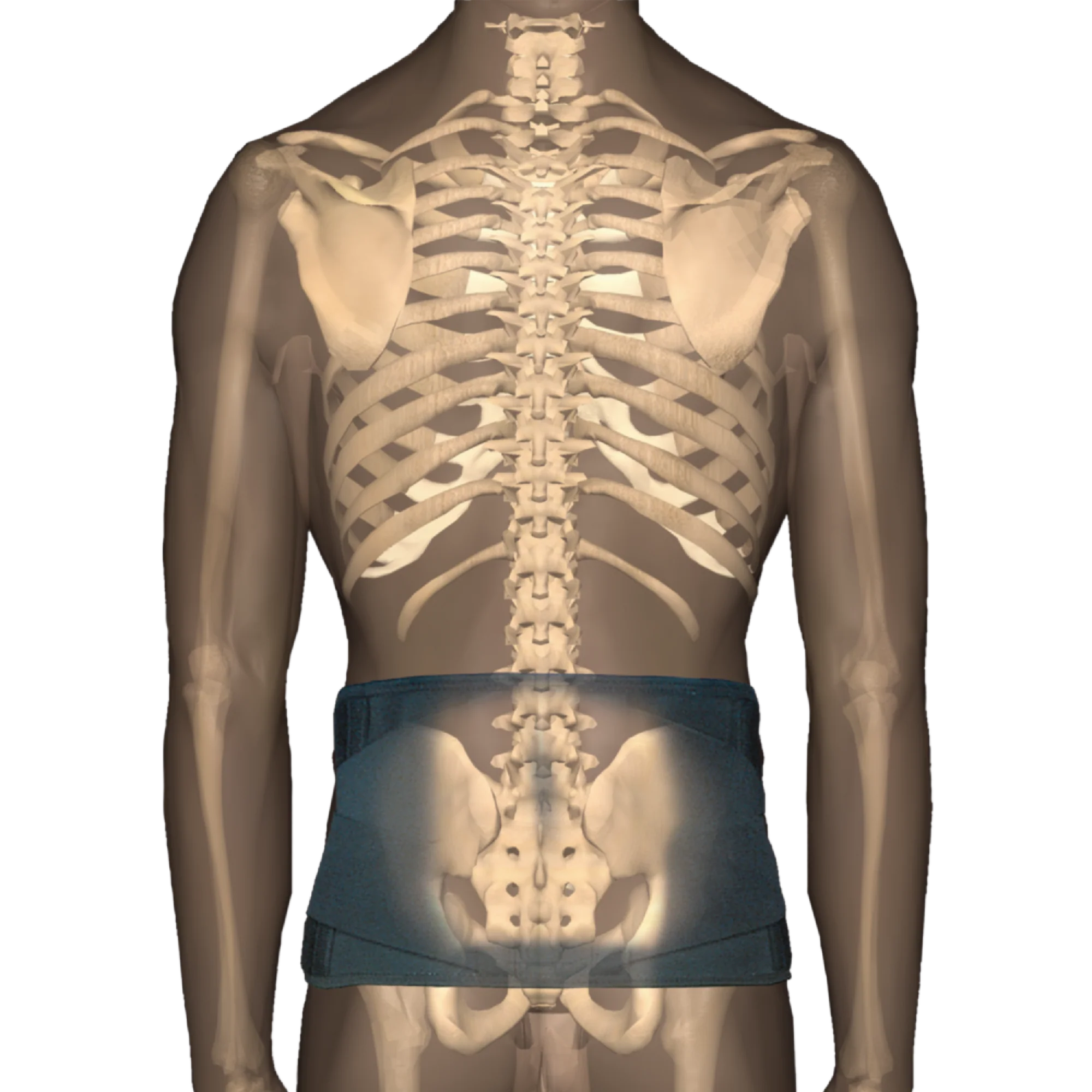 CorFit System Industrial Belt LS Back Support CorFit System Industrial Belt LS Back Support