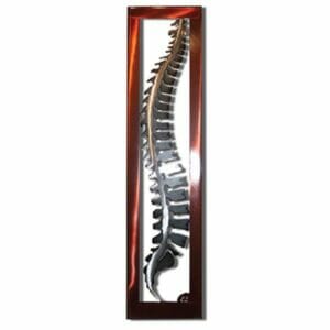 Framed Spine Wall Hanging - Kandy Brass