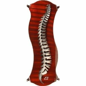 EBee Jr. Metal Spine with Backer - Fire Red