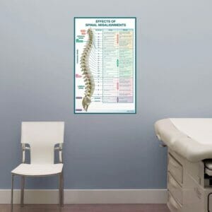 Effects of Spinal Misalignments - Removable Wall Graphic