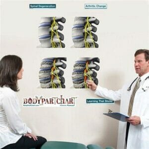 Spinal Degeneration Series - Removable Wall Graphic