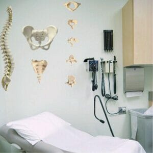 Spine Chart - Removable Wall Graphic
