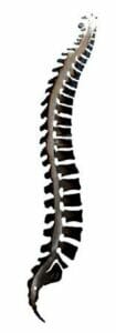 Spine Offset Wall Hanging