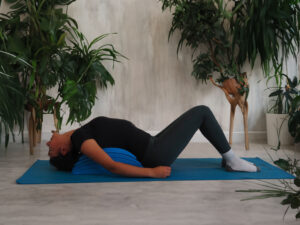 BackBridge : Back Stretcher + Spine Stretcher